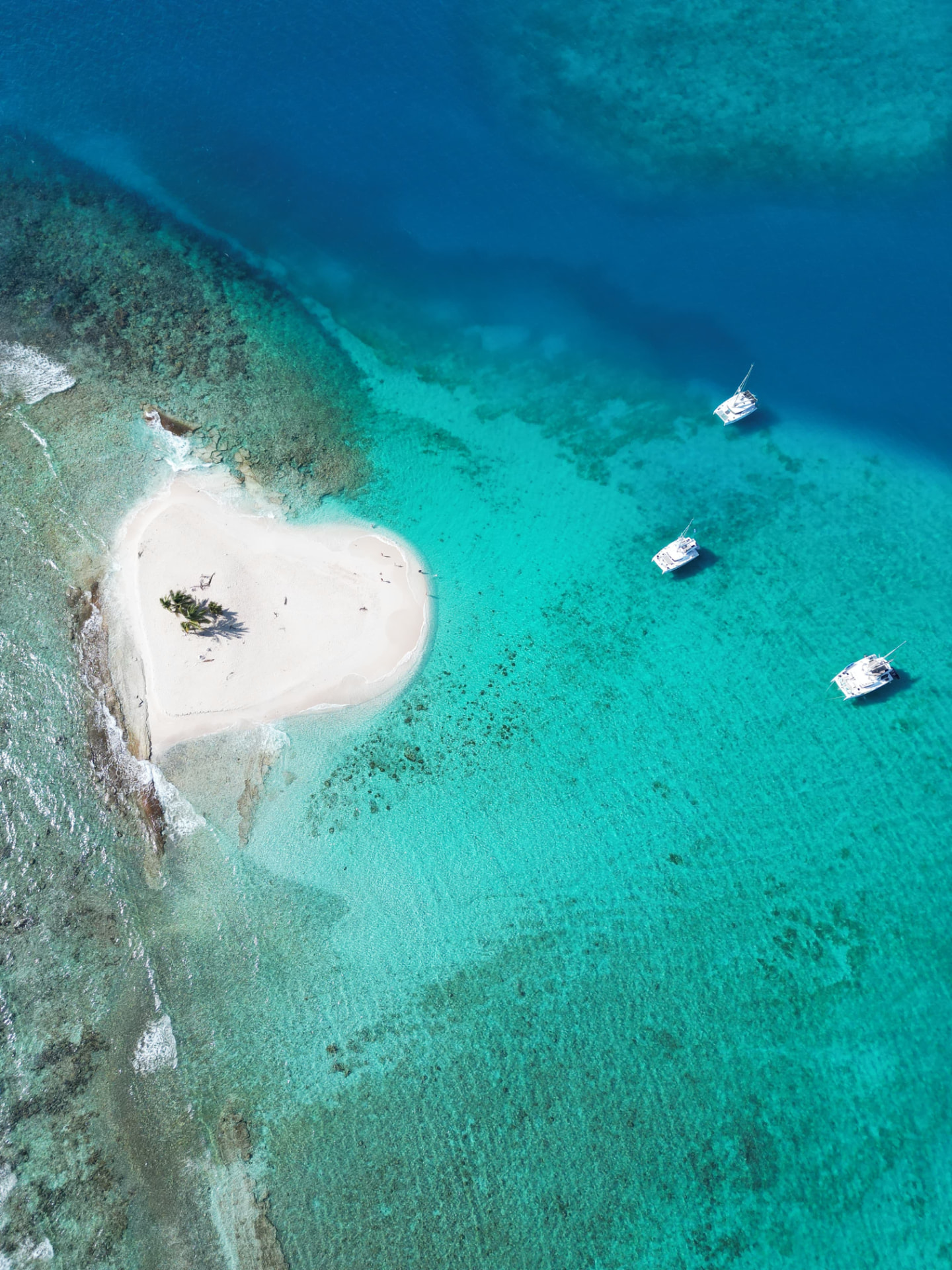 Aerial view of a small sand cay with palm trees, surrounded by turquoise reef water with catamarans anchored nearby